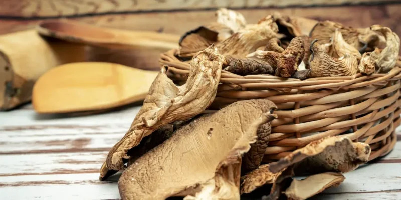 Medicinal barks and roots